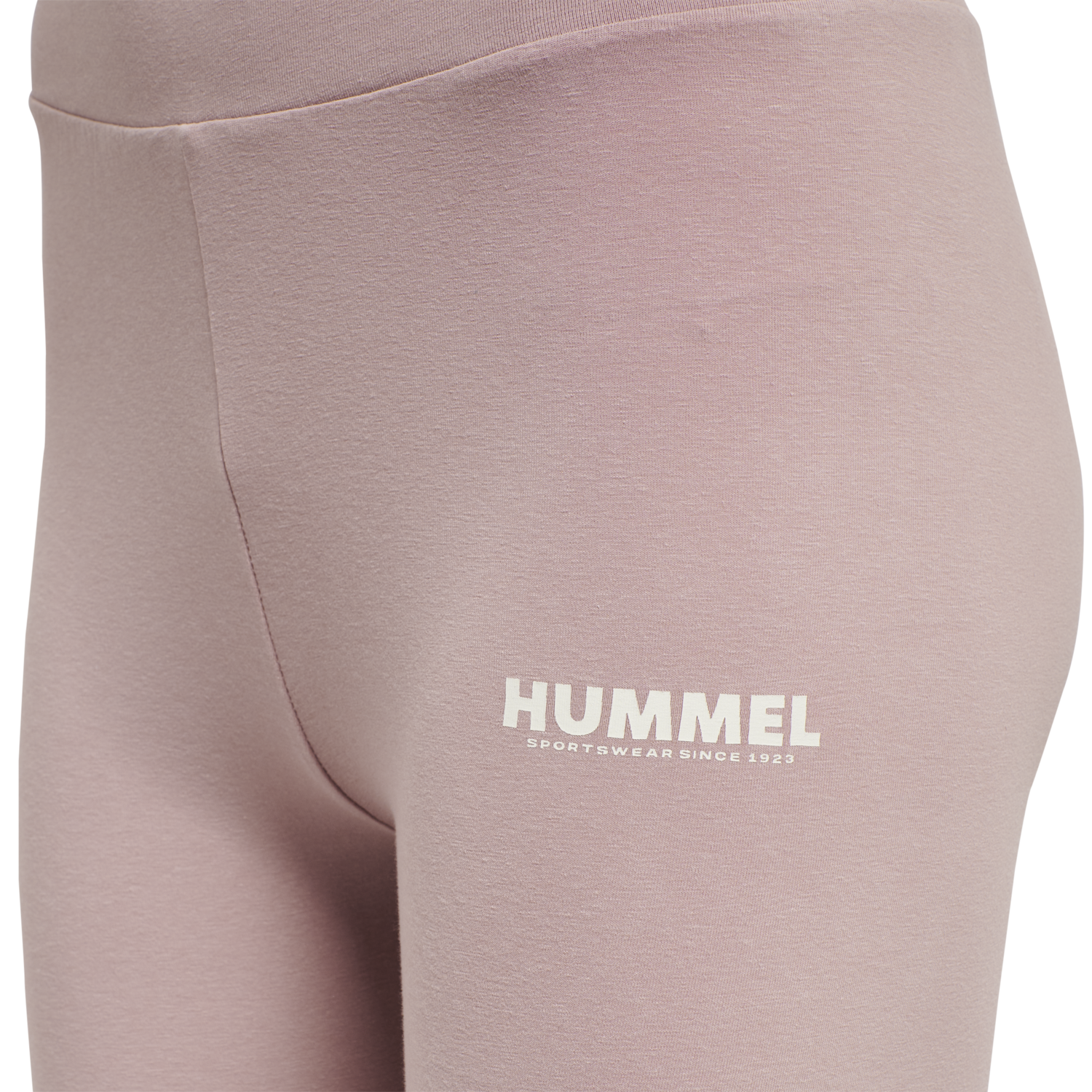 hmlLEGACY WOMAN HIGH WAIST TIGHTS, WOODROSE, packshot