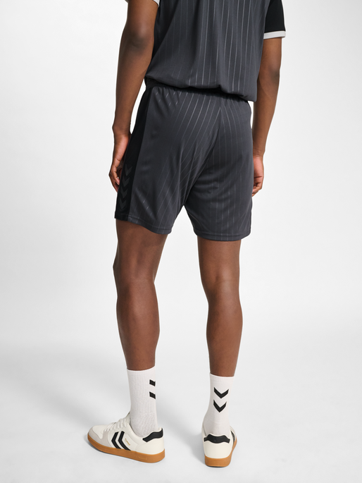 hmlPULSE STRIPE BLOCKED SHORTS, EBONY/BLACK, model