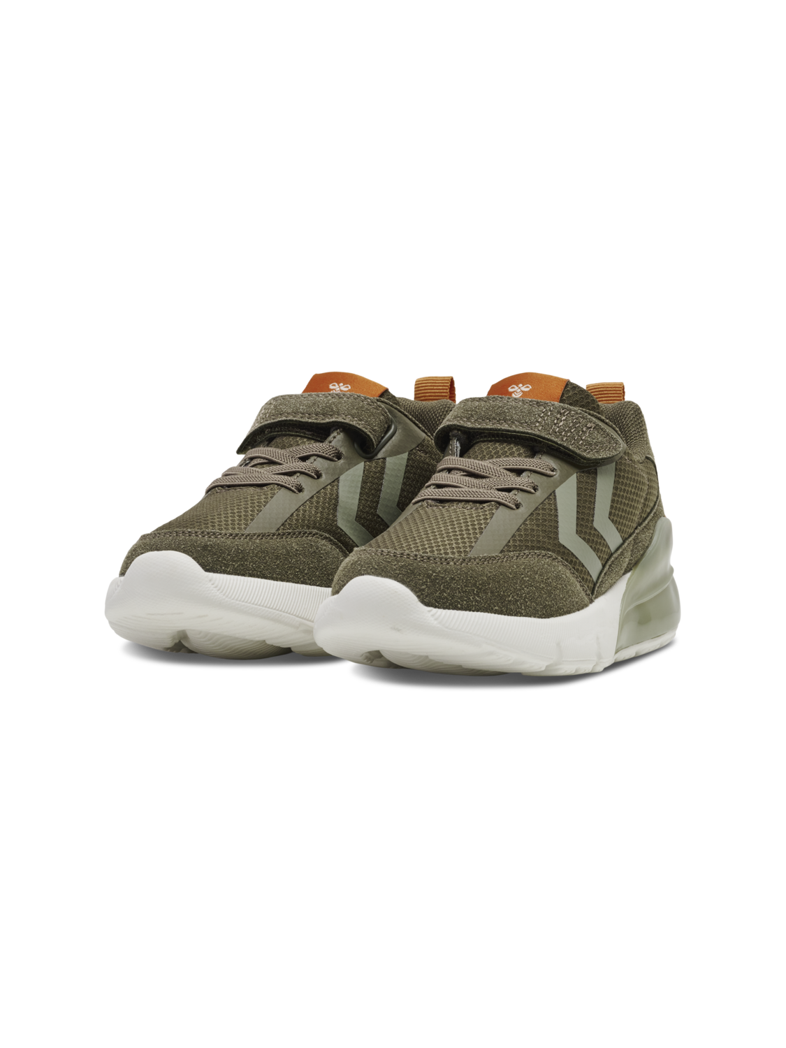DAYLIGHT JR, BEECH, packshot