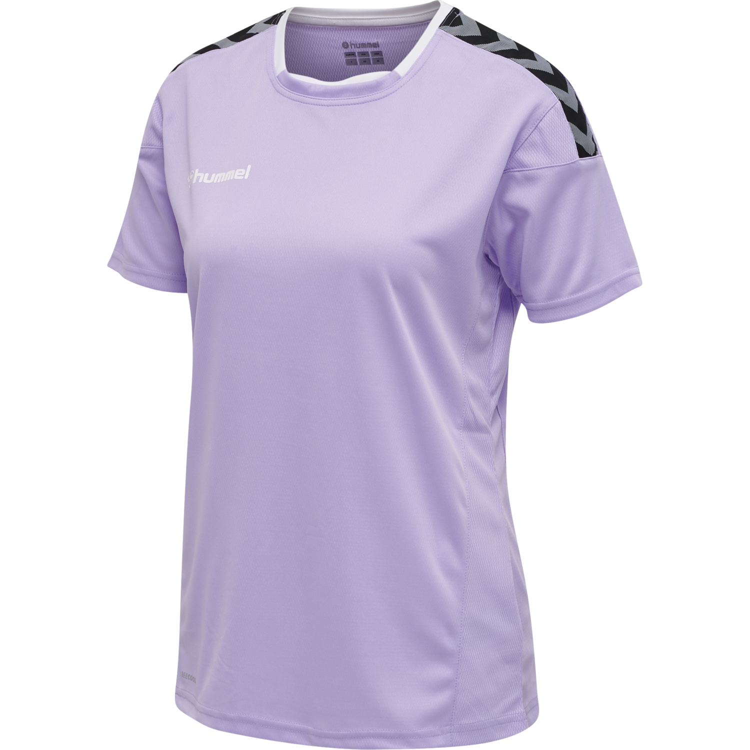 LAVENDULA