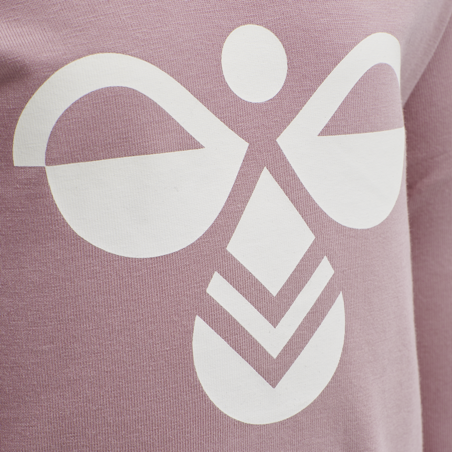 hmlFLIPPER T-SHIRT L/S, WOODROSE, packshot