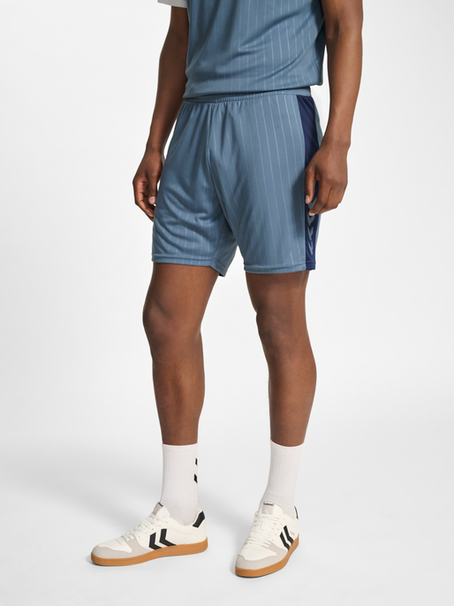 hmlPULSE STRIPE BLOCKED SHORTS, BLUE MIRAGE/DRESS BLUE, model