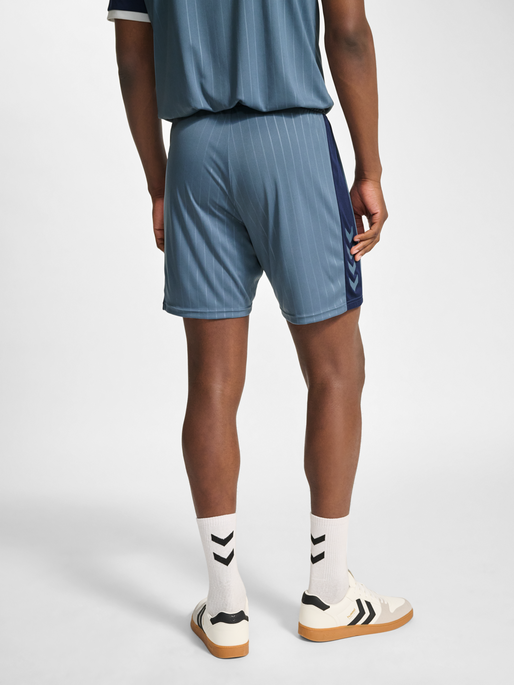 hmlPULSE STRIPE BLOCKED SHORTS, BLUE MIRAGE/DRESS BLUE, model
