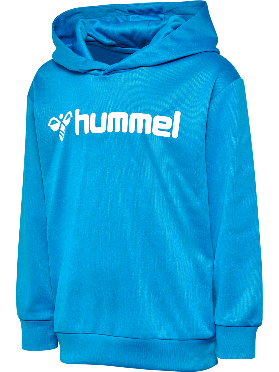 hmlLOGO HOODIE KIDS, DIVA BLUE, packshot
