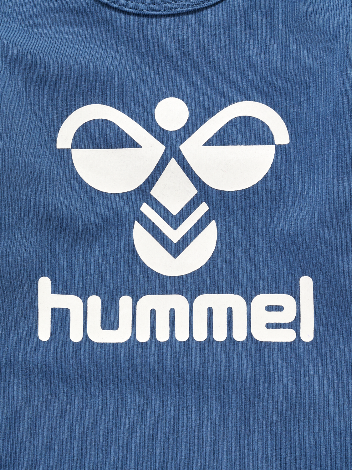 hmlFLIPS BODY L/S, BERING SEA, packshot