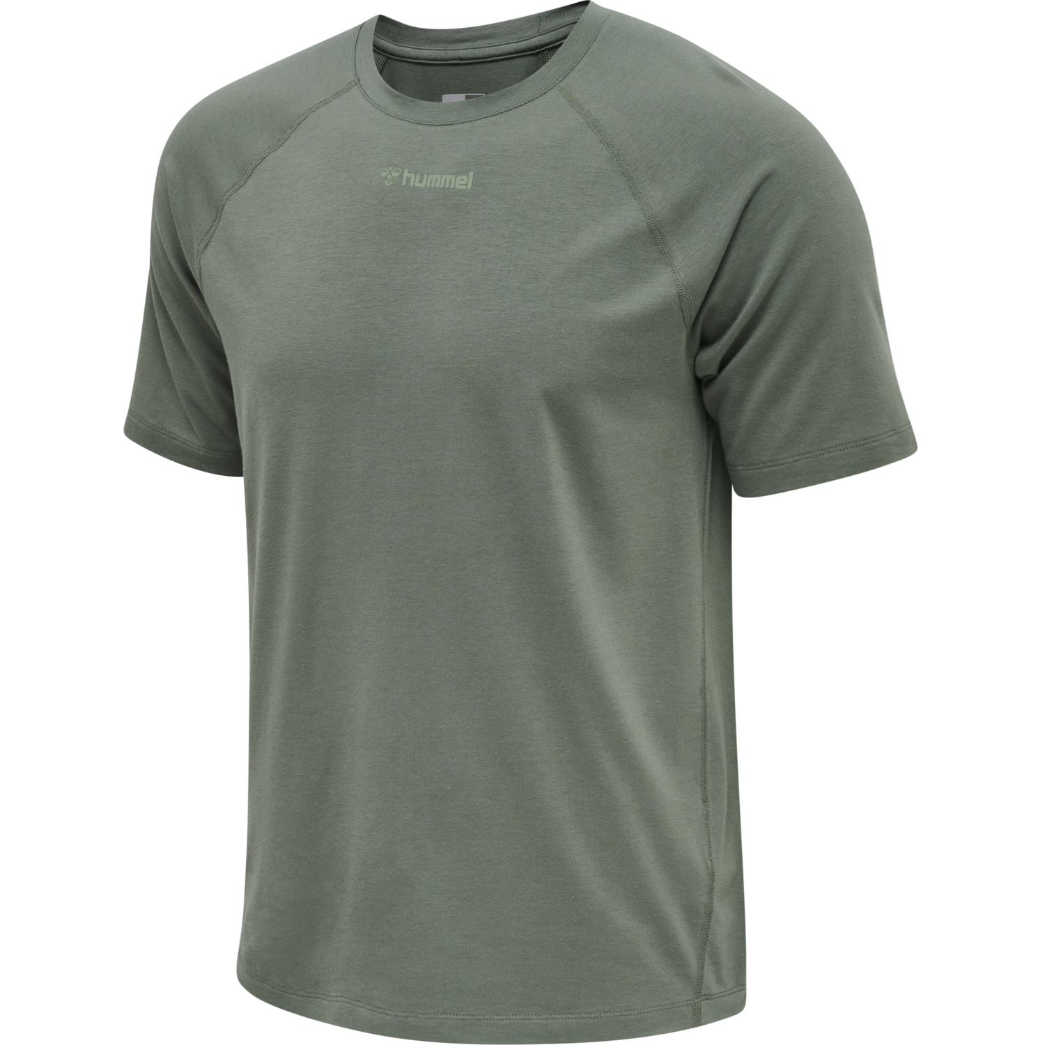 hmlMT LAZE T-SHIRT, LAUREL WREATH, packshot