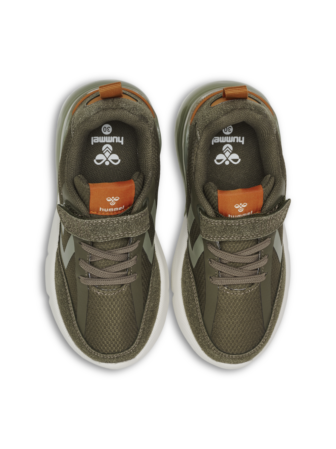 DAYLIGHT JR, BEECH, packshot