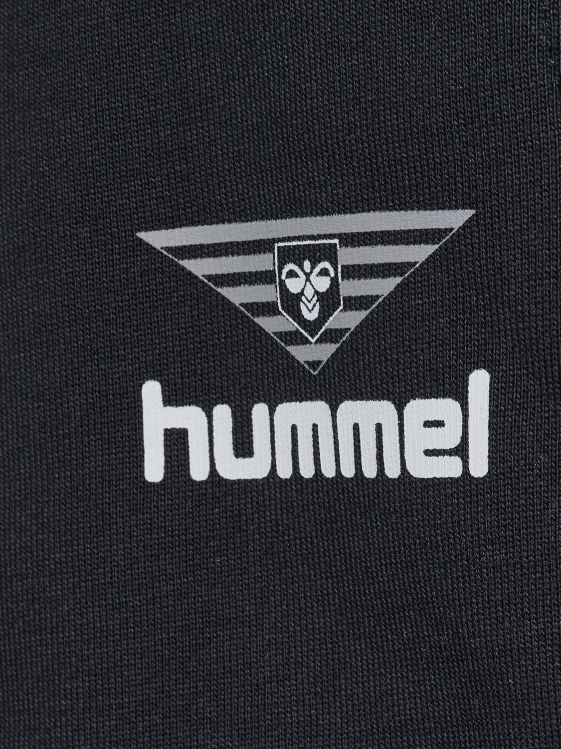 hmlHIVE WADE SWEATSHORTS, 2001, packshot