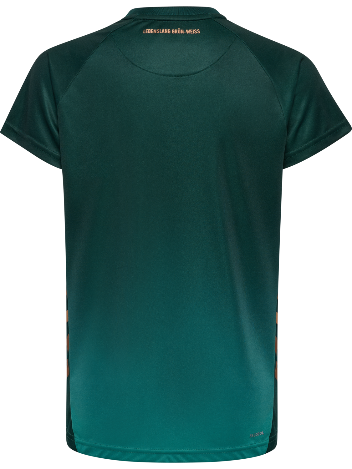 WER 25/26 3RD JERSEY S/S KIDS, SCARAB, packshot