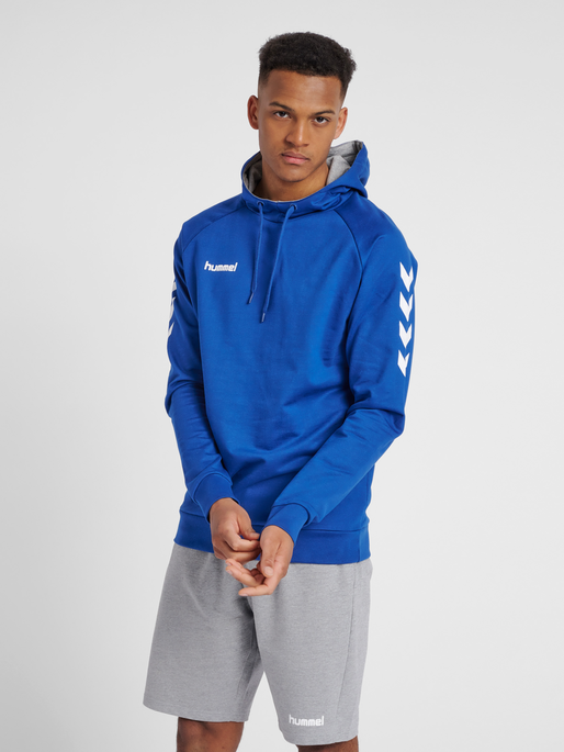 HMLGO COTTON HOODIE, TRUE BLUE, model