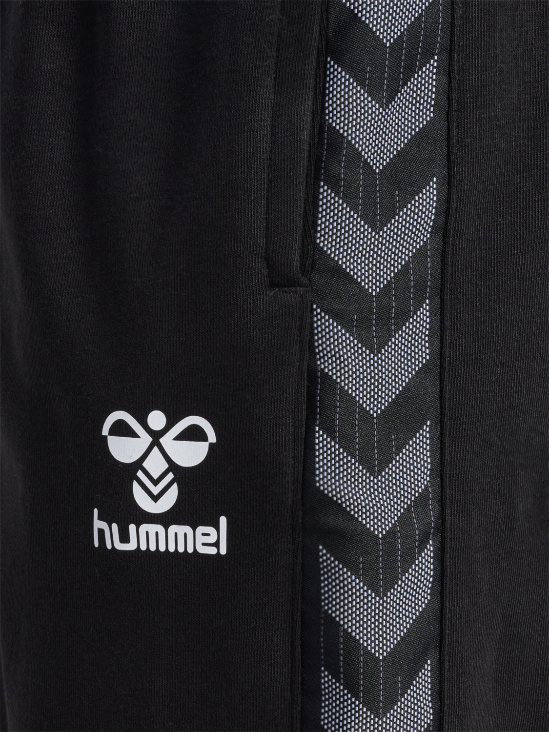 hmlAUTHENTIC CO TRAINING PANTS, BLACK, packshot